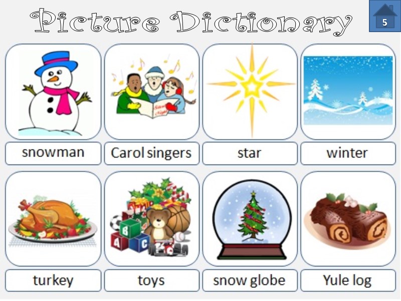 Picture Dictionary  5